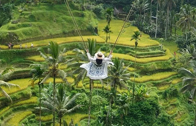 Instagram swing above Tegallalang rice terraces in Bali
